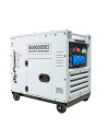 DG9000SEi Groupe Électrogène ITC Power Diesel Inverter 230V 6500W